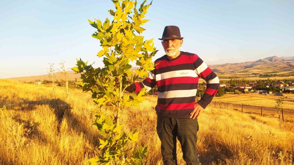 Tek Başına Bozkırı Yeşertiyor