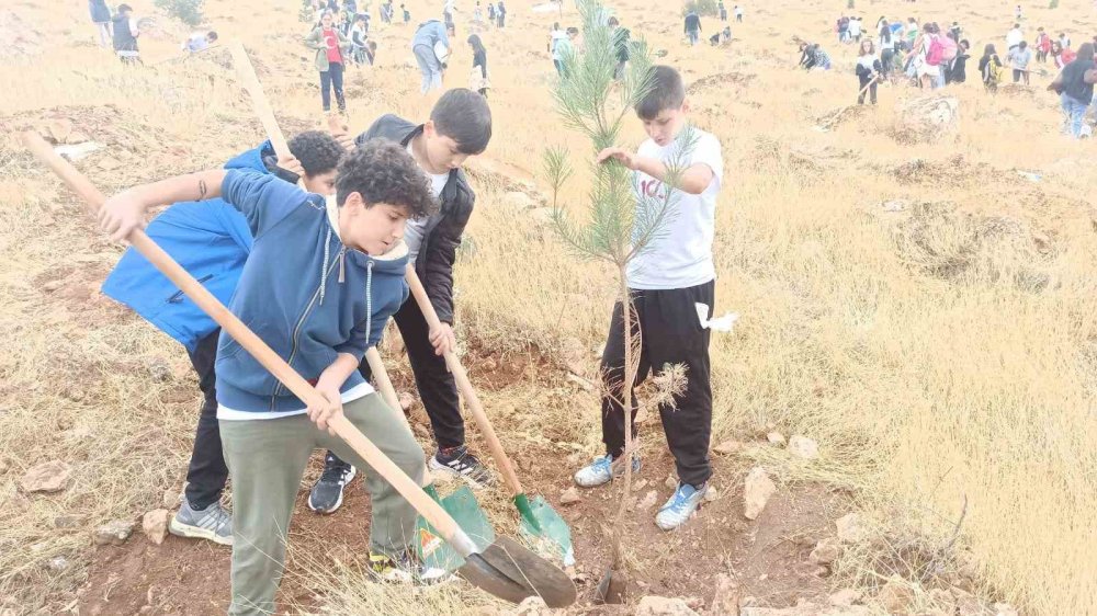 Cumhuriyet’in 100. Senesinde Öğrenciler Fidan Dikti