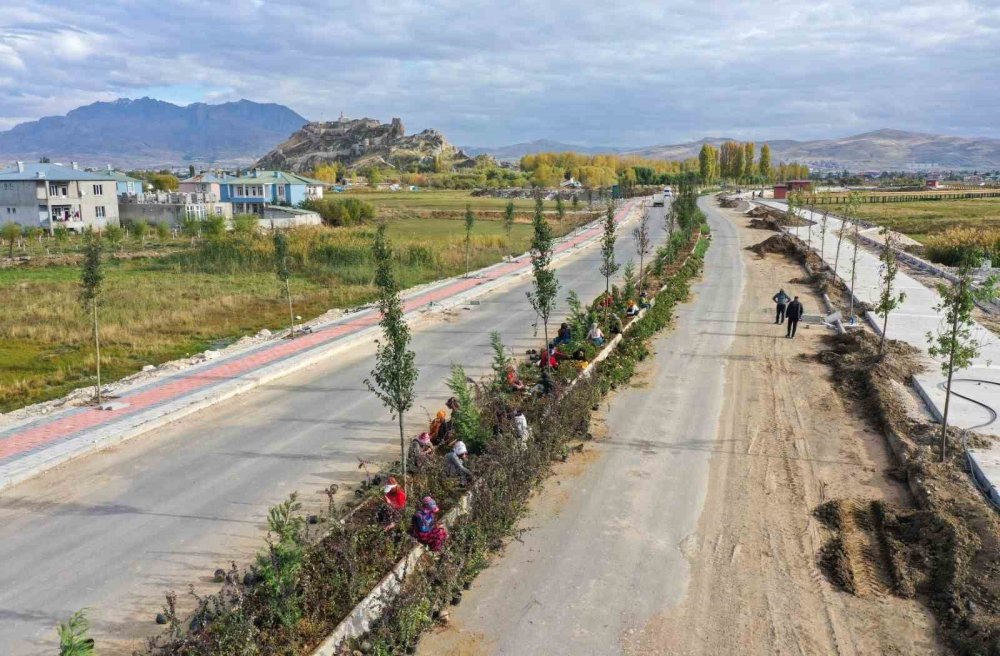 Peyzaj Ve Ağaçlandırma Çalışmaları Sürüyor