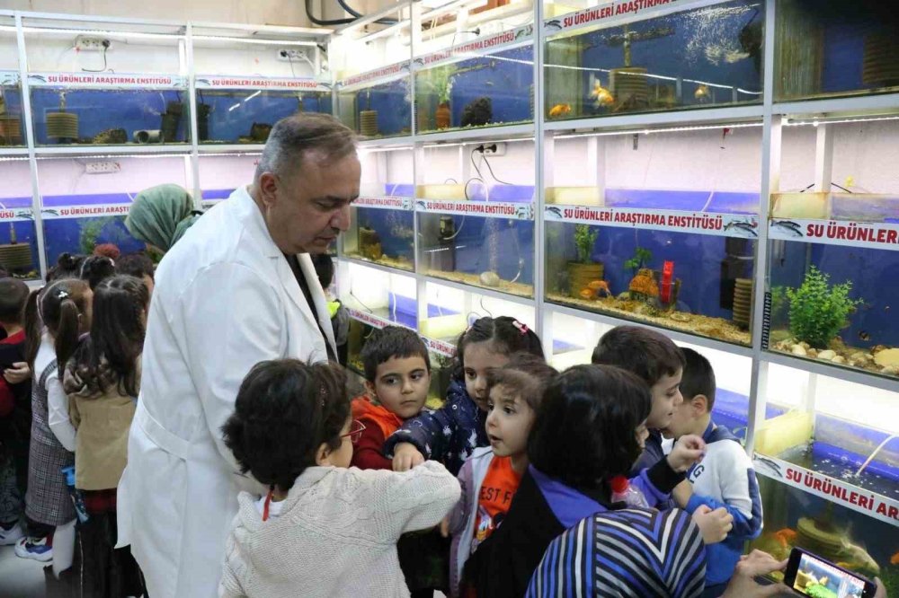 Elazığ’da Öğrenciler Balık Müzesini Dolaştı