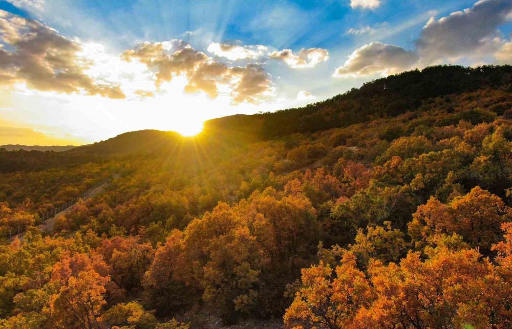 Erzincan’da Hazan Mevsimi Güzelliği